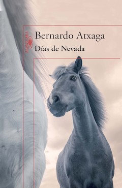 Bernardo Atxaga: Das de Nevada. Alfaguara. Madrid, 2014. 408 pginas. 19,90 . Libro electrnico: 9,99 