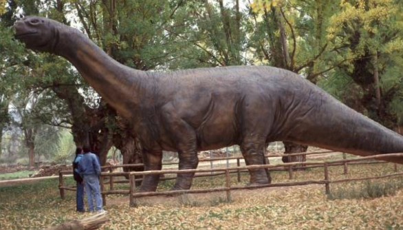 (Foto: www.aragosaurus.com)