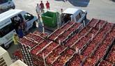 El boicot ruso ya afecta a la exportacinespaola de alimentos