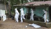 Elbola, emergencia pblica sanitaria de alcance internacional