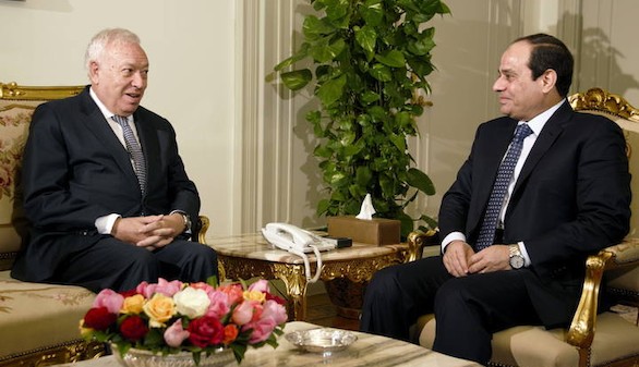 Margallo se renne con el presidente egipcio para ofrecerle el apoyo de Espaa en la estabilizacin de la zona