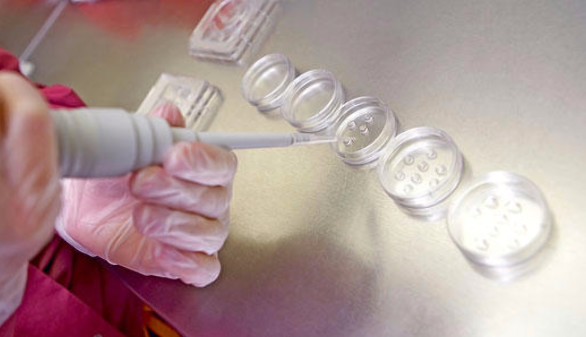 Polmica decisin del parlamento britnico, que aprueba la reproduccin asistida con ADN de tres personas