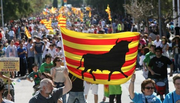 El Tribunal Constitucional anula la prohibicin de los toros en Catalua