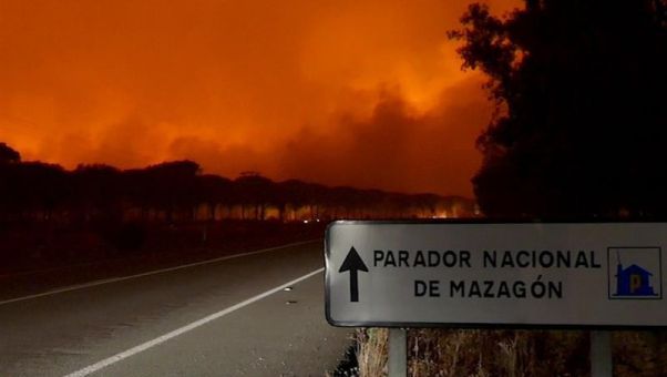 La UME y numerosos medios areos luchan contra el fuego, que se declar en Moguer (Huelva) la noche del sbado. El calor y el viento dificultan su control.