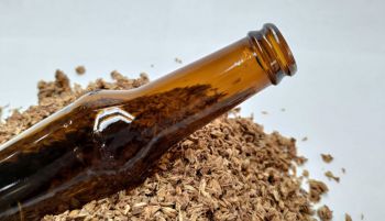 Qué es el bagazo de la cerveza: un residuo rico en proteínas y fibra alimentaria