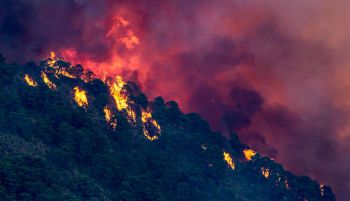 Estabilizado el incendio forestal de Pujerra (Málaga) tras quemar 3.500 hectáreas