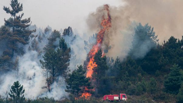 Siguen activos fuegos en Castilla y León, Andalucía, Galicia y Extremadura.