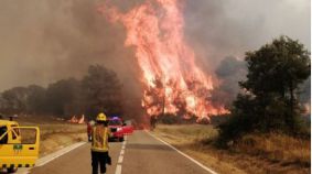 La Fiscalía ve negligencia o intencionalidad en los incendios, que han quemado ya 177.000 hectáreas