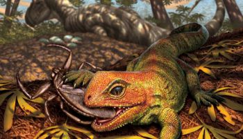 Descubierto un prehistórico reptil extinto que sobrevivía entre los dinosaurios