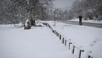 El tiempo: dificultades y corte de vías por las nevadas, sobre todo en Castilla y León