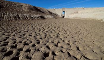 La sequía provoca este dilema a los agricultores españoles: plantar o no plantar hortalizas