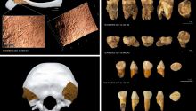Encuentran evidencias de canibalismo entre neandertales de las Cuevas del Toll de Moià