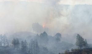 El incendio forestal hace que vuelva a llover ceniza en el valle de Aridane