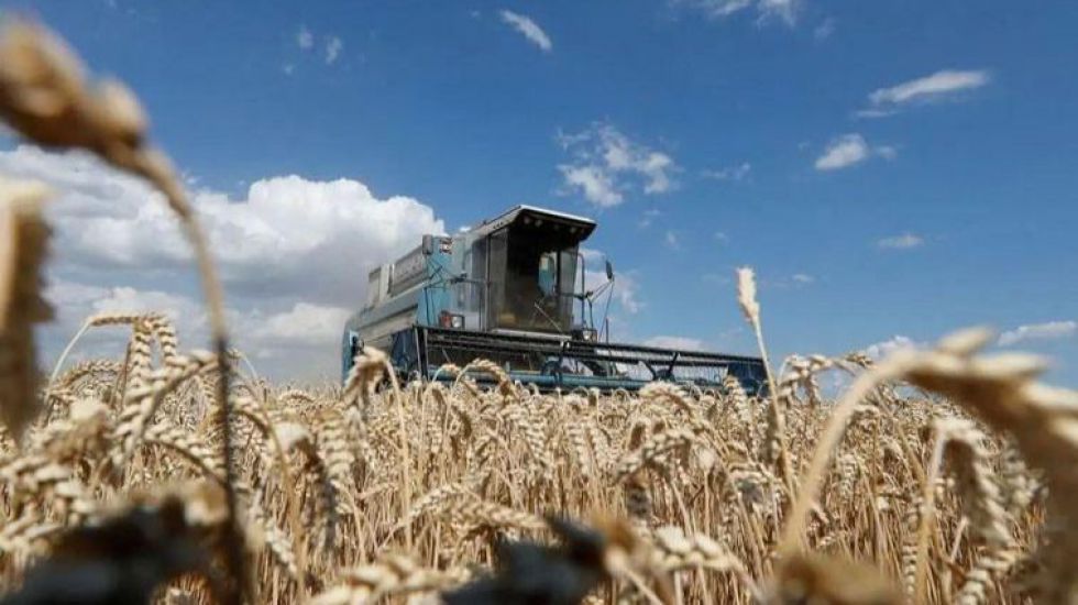 Rusia se retira de manera 'inmediata' del acuerdo para exportar cereal ucraniano