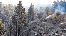 El incendio de La Palma 'da sus últimos coletazos' en la Caldera