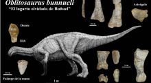 Descubren el mayor ornitópodo europeo del Jurásico