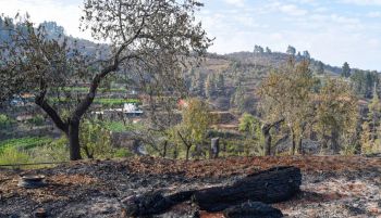 El incendio de La Palma queda estabilizado con 2.900 hectáreas afectadas