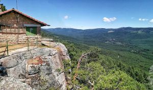España es el segundo 'bosque' más grande de Europa, pero cada vez más árido