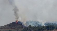 El incendio de Gran Canaria está estabilizado al 95% y se prepara el fin de los desalojos