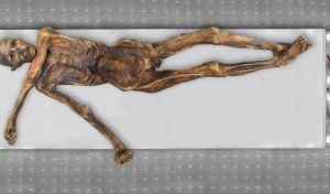 Ötzi, el hombre del hielo, no es como se pensaba: calvo, moreno y de ojos oscuros