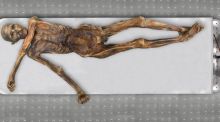 Ötzi, el hombre del hielo, no es como se pensaba: calvo, moreno y de ojos oscuros