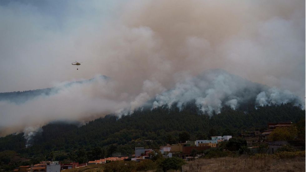 El incendio de Tenerife abarca 42 kms de perímetro y afecta 3.700 hectáreas