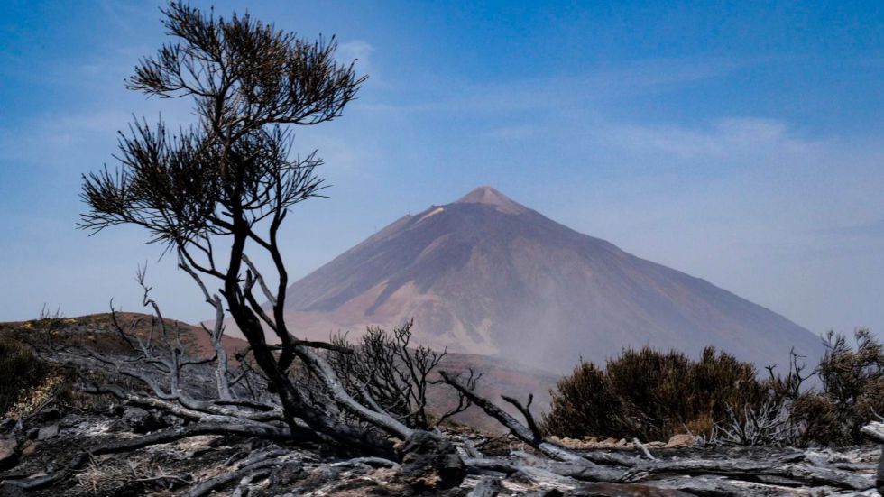 El incendio de Tenerife, declarado estable nueve días después de su inicio
