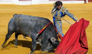 Crónica taurina | Daimiel: los toros de Victorino imponen la seriedad