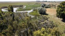 La Junta compra 7.500 hectáreas para ampliar la superficie de Doñana