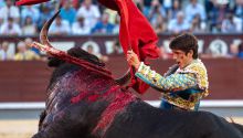 La crónica taurina | Las Ventas: Castella y Ureña, torerazos