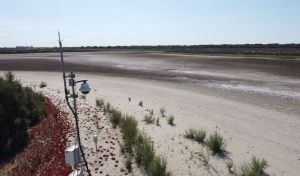 Sequía, altas temperaturas y declive de especies: el annus horribilis de Doñana
