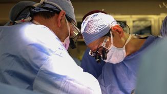 Un hospital de EEUU realiza el primer trasplante de riñón de cerdo a un paciente