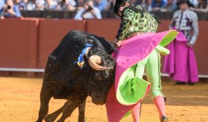 Morante, Roca Rey y Castella levantan el telón de la temporada en la Maestranza