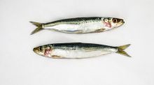 Sustituir la carne roja por sardinas o anchoas podría evitar hasta 750.000 muertes en 2050