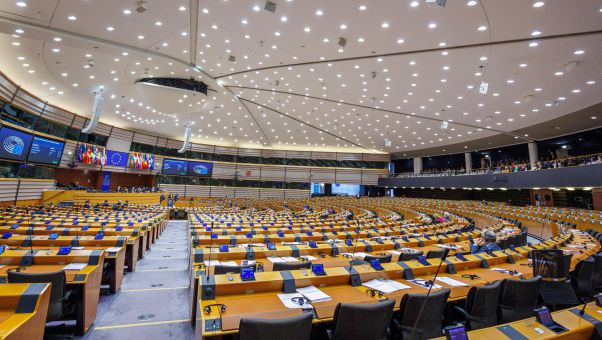 Los europarlamentarios instan a Bruselas a recurrir a auditorías externas 'si se detecta una grave falta de capacidad en un Estado miembro'.