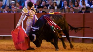 La crónica taurina. Sevilla: el conocimiento es la base del toreo
