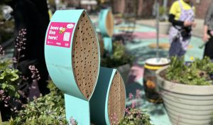Nueva York protegerá a las abejas con hoteles y búnkeres en plazas y parques