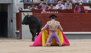 La tormenta divide en dos desiguales mitades otra decepcionante corrida torista