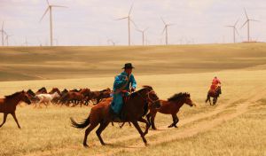 El caballo de monta se extendió por Europa hace 4.200 años desde Asia Central