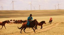 El caballo de monta se extendió por Europa hace 4.200 años desde Asia Central