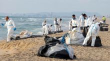 Equipos de limpieza tratan de retirar la mancha que deja un vertido de combustible en tres playas de Valencia