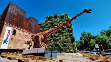 CaixaForum Madrid viaja a la Patagonia del mesozoico en una muestra sobre dinosaurios