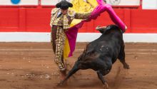 Santander: sin toros en la plaza