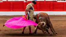 Toros flojos en la quinta de Santander