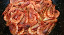 Gambas y langostinos: uno de cada tres productos no son lo que dice la etiqueta