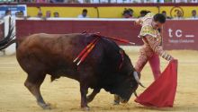 Huesca: el Maestro Galván, la figura del toreo