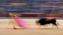 Socuéllamos: las fiestas de pueblo