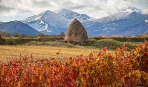 Este domingo entra en vigor la Ley europea de Restauración de la Naturaleza