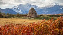 Este domingo entra en vigor la Ley europea de Restauración de la Naturaleza