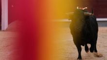 Crónica taurina | Añover de Tajo: la autenticidad del toro bravo